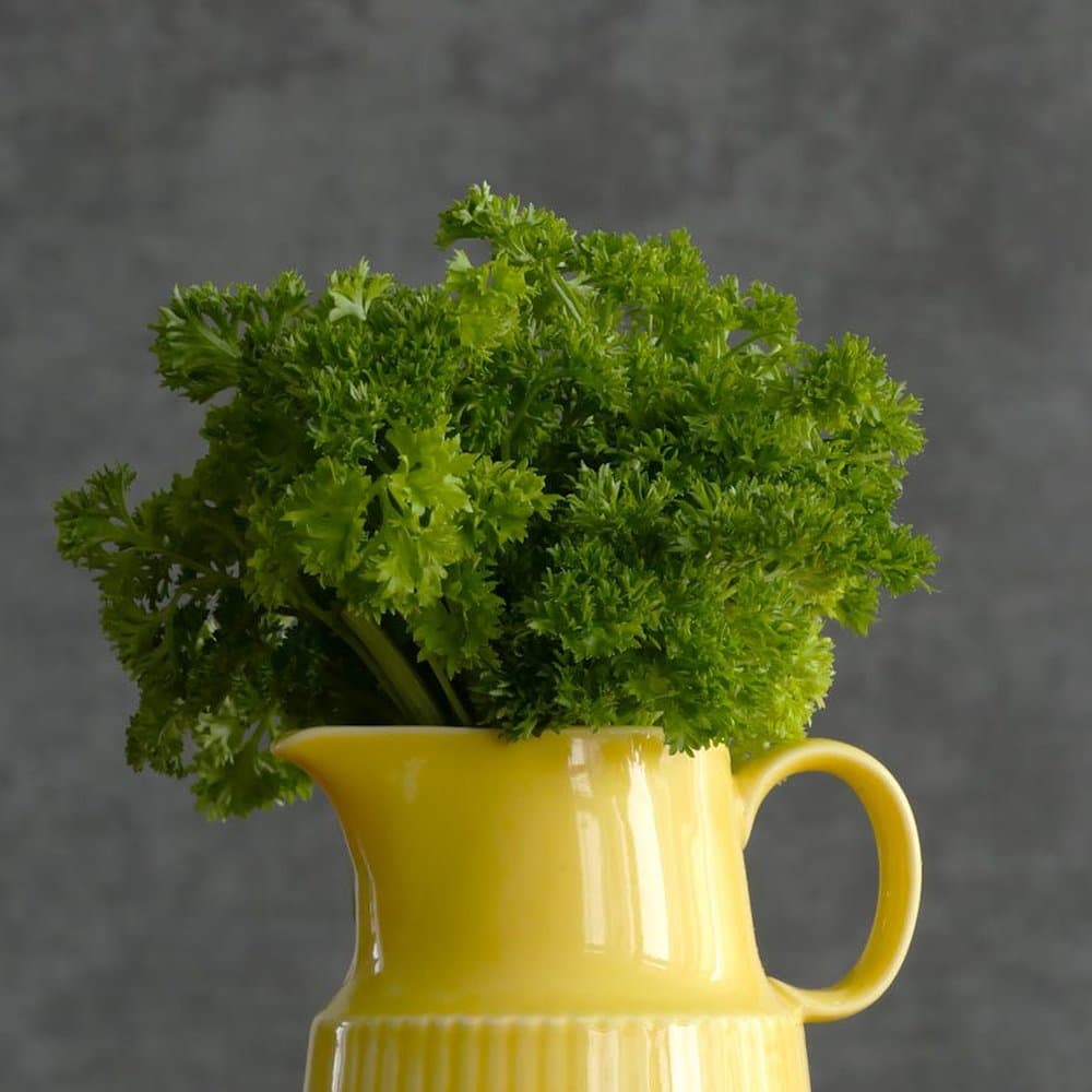 Parsley